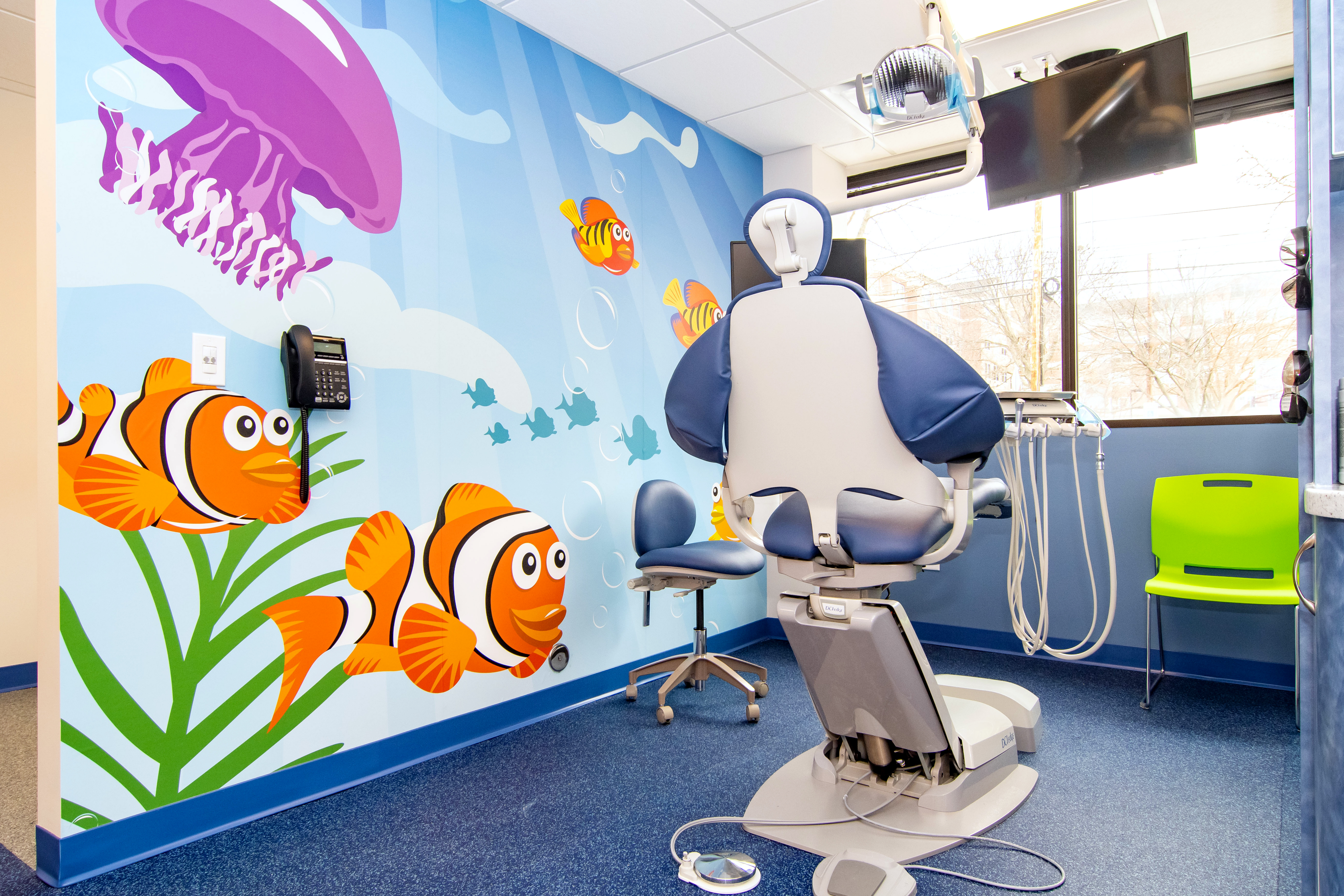 Pediatric Dentist