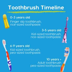 toothbrush and toothpaste timeline for kids